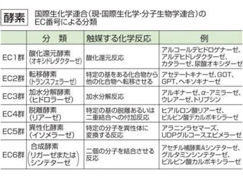 高祖|高祖（こうそ）とは？ 意味・読み方・使い方をわかりやすく解。